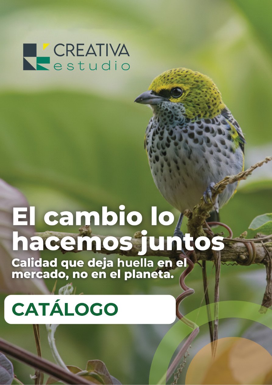 Portada de Catálogo